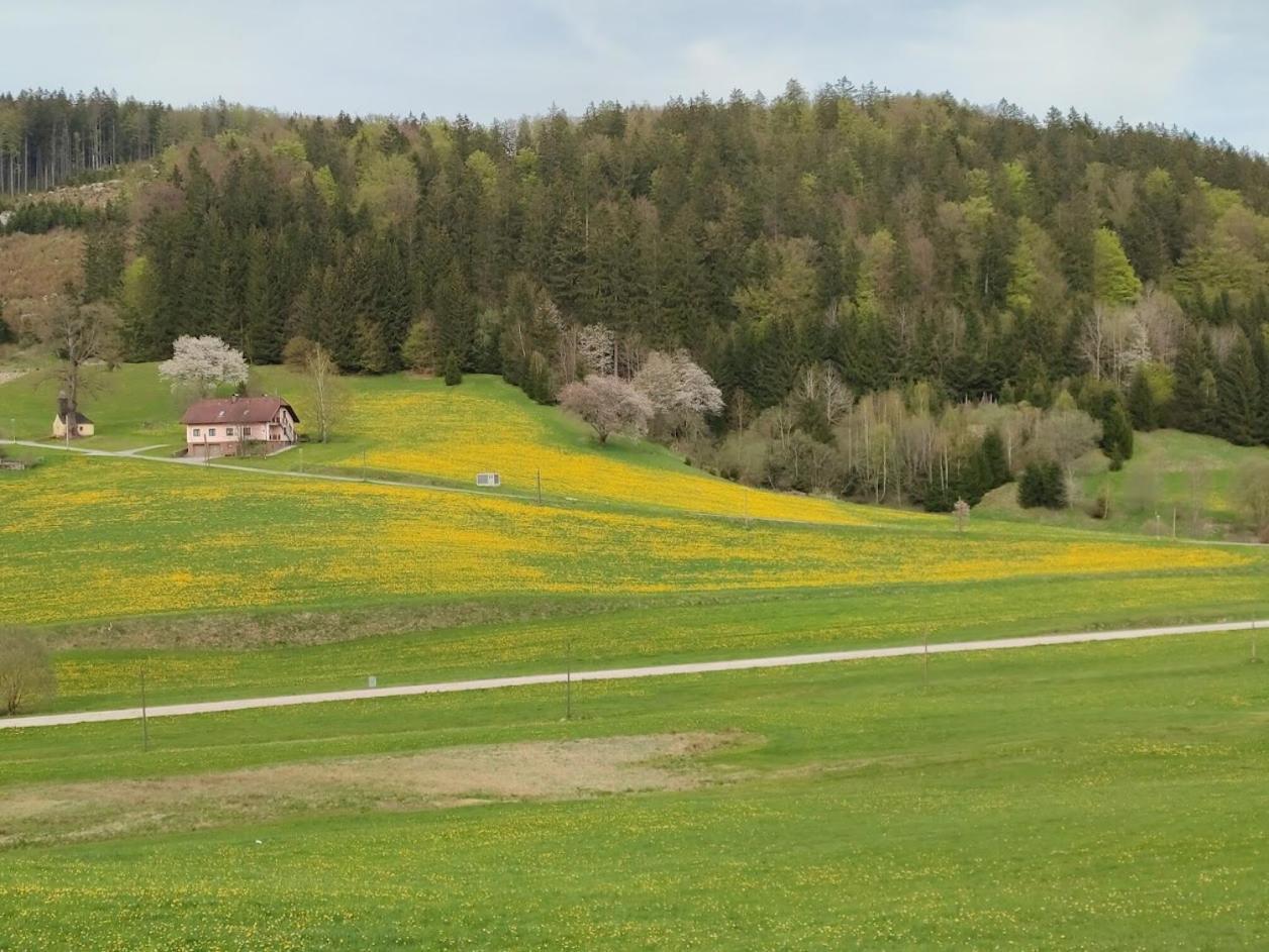 Ferienhaus Schoeller Schonbach Экстерьер фото