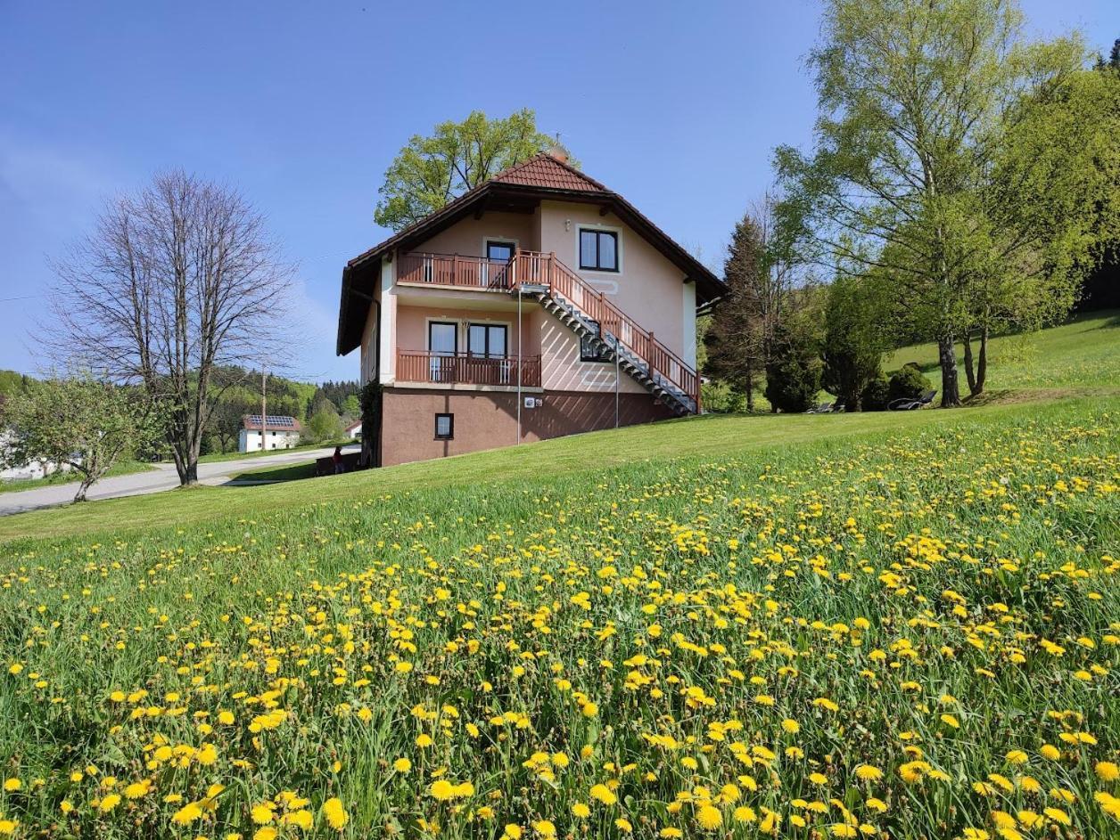 Апартаменты Ferienhaus Schoeller Schonbach Экстерьер фото